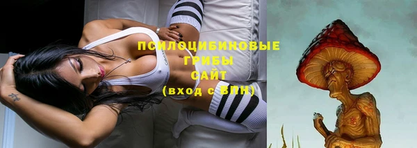 крисы Усолье-Сибирское