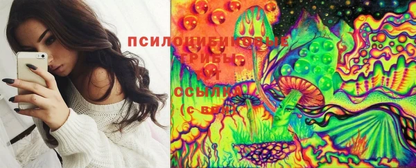 прущая мука Арсеньев
