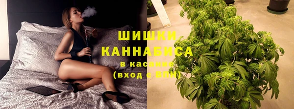 прущая мука Арсеньев